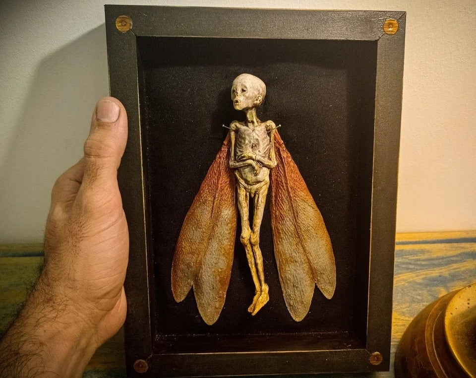 Dead Fairy Shadow Box Display - Wooden Mystical Ornaments