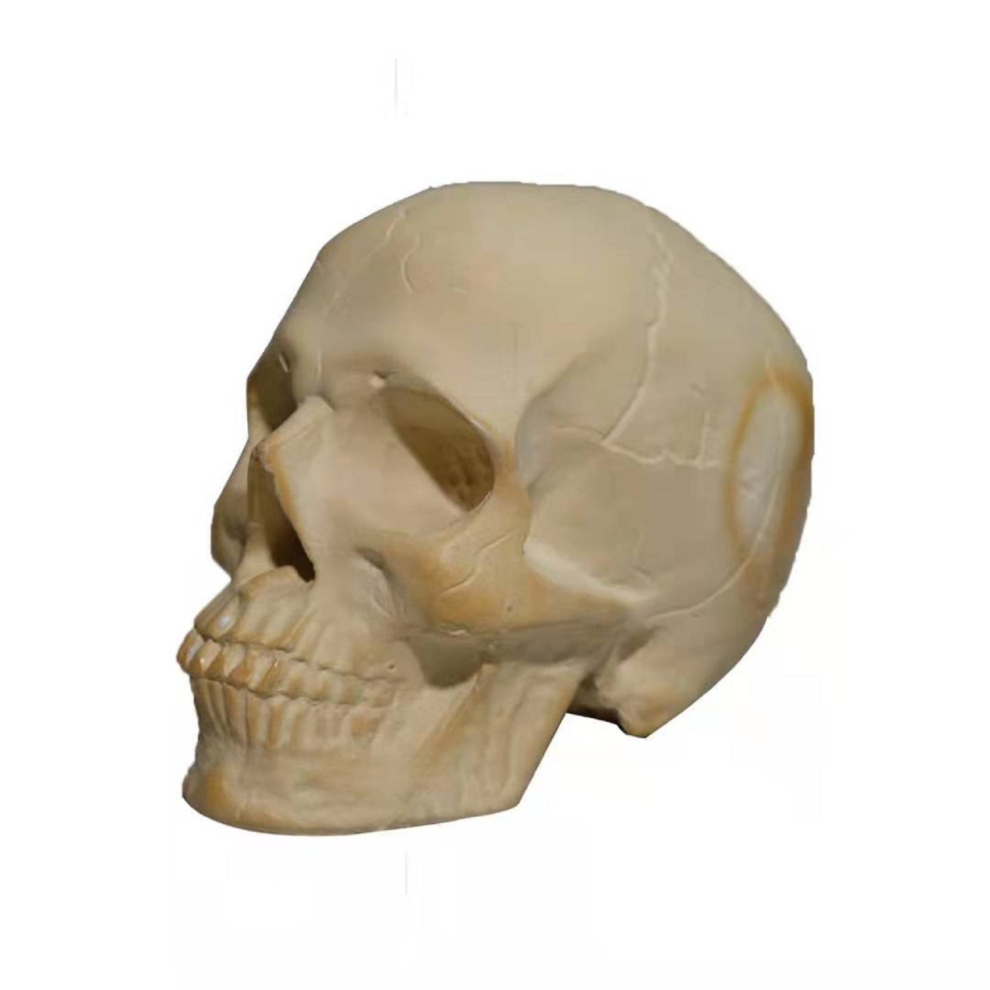 Fire Resistant Halloween Skull Decoration