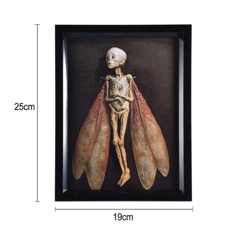 Dead Fairy Shadow Box Display - Wooden Mystical Ornaments