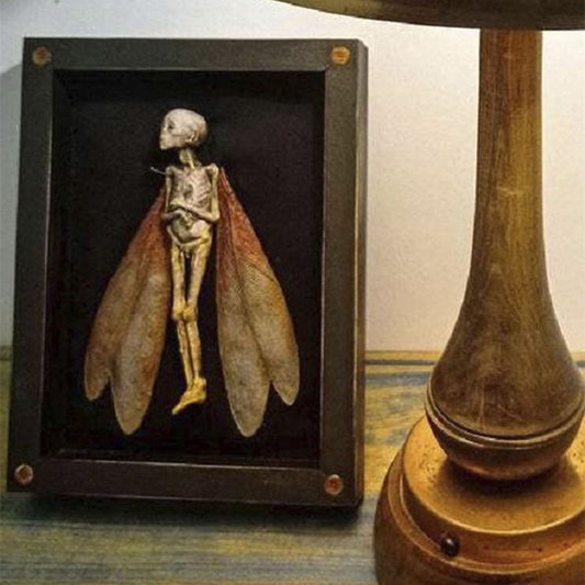 Dead Fairy Shadow Box Display - Wooden Mystical Ornaments