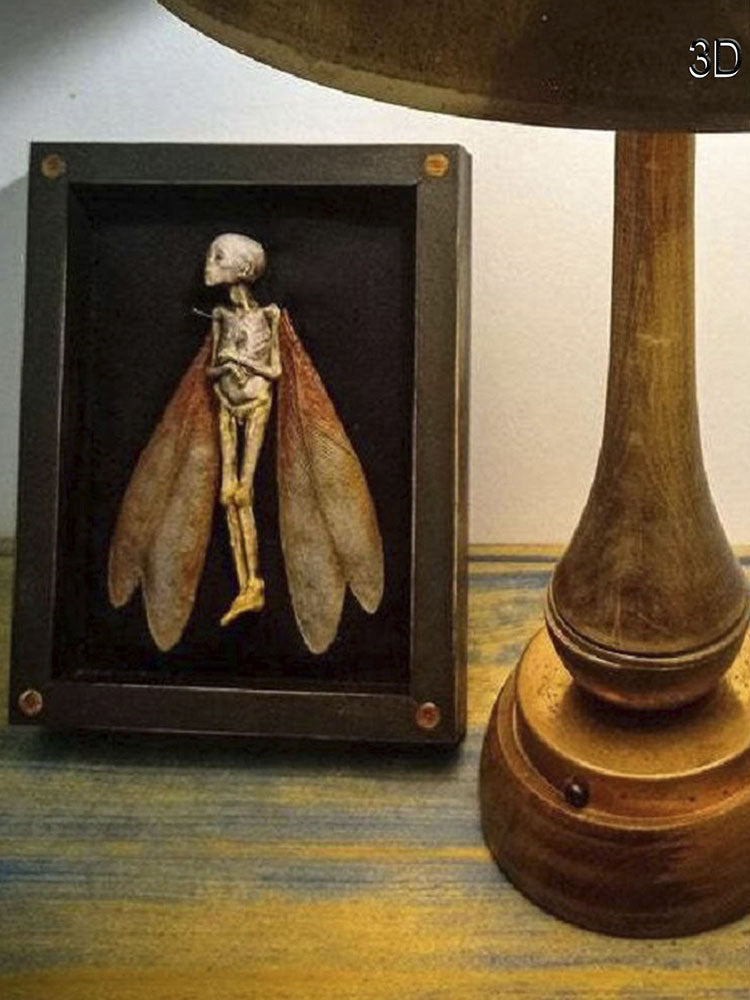 Dead Fairy Shadow Box Display - Wooden Mystical Ornaments