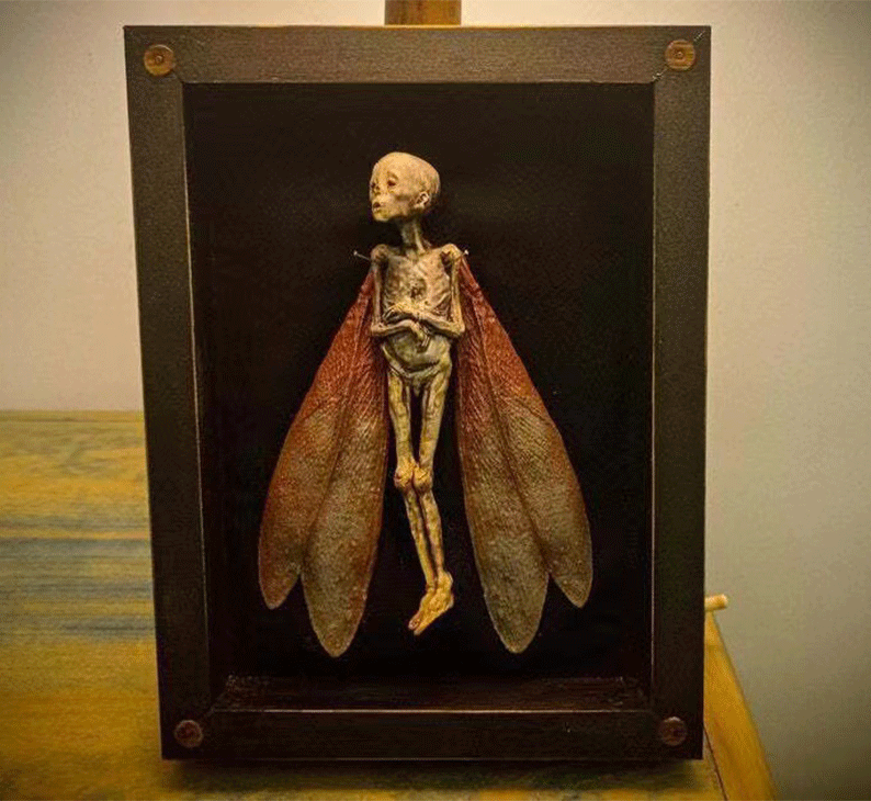 Dead Fairy Shadow Box Display - Wooden Mystical Ornaments